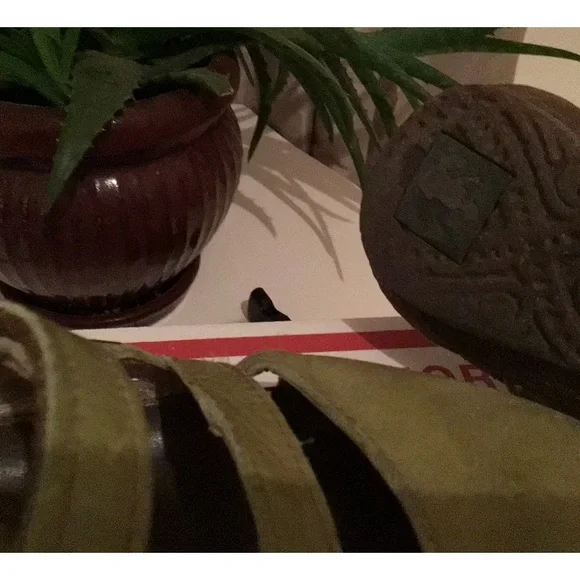 El Naturalista adjustable straps mule/slip-on sandals - Picture 5 of 5